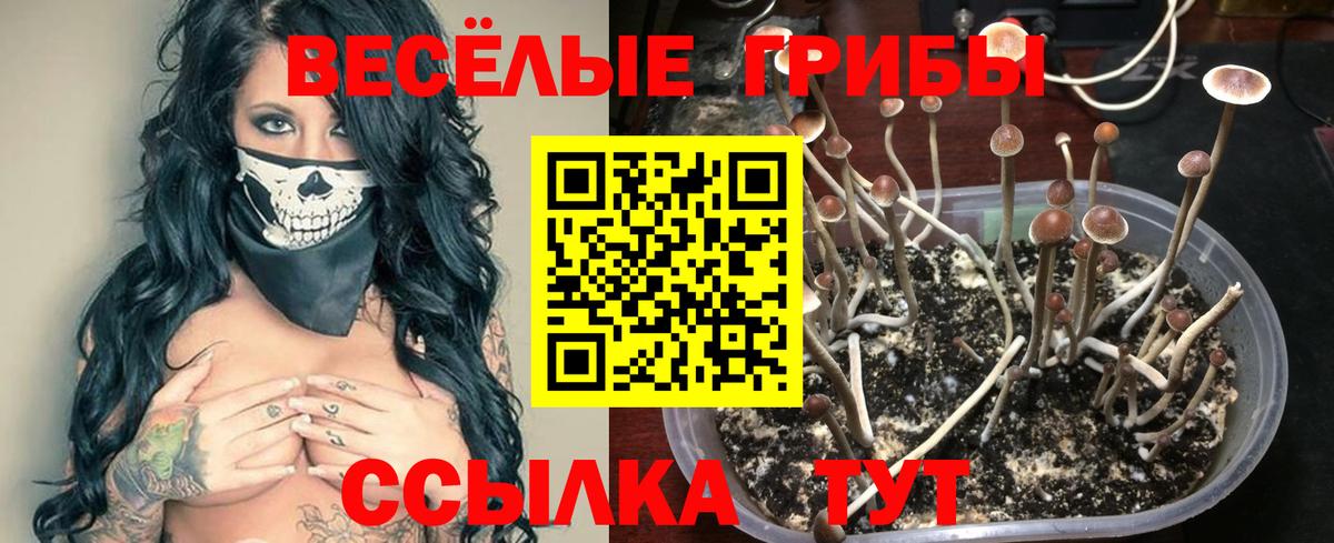 Кисловодск  Псилоцибиновые грибы мухоморы  Вход с VPN 