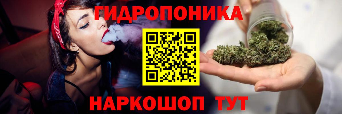 МАРИХУАНА семена  Каннабис OG Kush  Канабис план  Вход с VPN  Кисловодск 